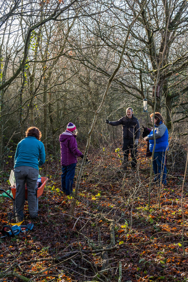 Penyffordd Community Nature Area, Flintshire